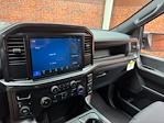 New 2025 Ford F-150 STX SuperCrew Cab 4WD Pickup for sale #250554 - photo 16