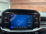 New 2025 Ford F-150 STX SuperCrew Cab 4WD Pickup for sale #250554 - photo 17