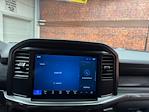 New 2025 Ford F-150 STX SuperCrew Cab 4x4 Pickup for sale #250555 - photo 14