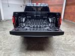 New 2025 Ford F-150 STX SuperCrew Cab 4x4 Pickup for sale #250555 - photo 23