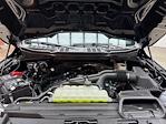 New 2025 Ford F-150 STX SuperCrew Cab 4x4 Pickup for sale #250555 - photo 24
