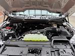 New 2025 Ford F-150 STX SuperCrew Cab 4x4 Pickup for sale #250568 - photo 27