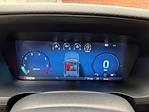 New 2025 Ford F-150 STX SuperCrew Cab 4x4 Pickup for sale #250569 - photo 14