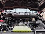 New 2025 Ford F-150 STX SuperCrew Cab 4x4 Pickup for sale #250569 - photo 27