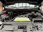 New 2025 Ford F-150 STX SuperCrew Cab 4x4 Pickup for sale #250576 - photo 29