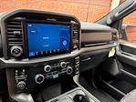 New 2025 Ford F-150 Tremor SuperCrew Cab 4x4 Pickup for sale #250579 - photo 16