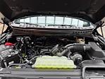 New 2025 Ford F-150 Tremor SuperCrew Cab 4x4 Pickup for sale #250579 - photo 26