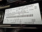 New 2025 Ford F-150 Tremor SuperCrew Cab 4x4 Pickup for sale #250579 - photo 29