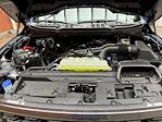 New 2025 Ford F-150 STX SuperCrew Cab 4x4 Pickup for sale #250580 - photo 28