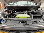 New 2025 Ford F-150 Tremor SuperCrew Cab 4x4 Pickup for sale #250596 - photo 29