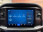 New 2025 Ford F-150 STX SuperCrew Cab 4WD Pickup for sale #250604 - photo 19
