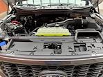 New 2025 Ford F-150 STX SuperCrew Cab 4WD Pickup for sale #250604 - photo 27