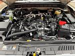New 2025 Ford Bronco Badlands 4WD SUV for sale #250609 - photo 24