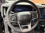 2025 Ford Bronco 4WD SUV for sale #250610 - photo 12