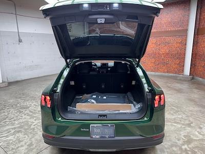 New 2025 Ford Mustang Mach-E - photo 1