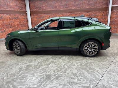 New 2025 Ford Mustang Mach-E - photo 1