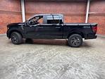 New 2025 Ford F-150 STX SuperCrew Cab 4WD Pickup for sale #250678 - photo 3