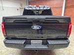 New 2025 Ford F-150 STX SuperCrew Cab 4WD Pickup for sale #250678 - photo 5