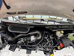 New 2025 Ford Transit 150 Low Roof Empty Cargo Van for sale #250690 - photo 25