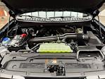 New 2025 Ford Expedition MAX Platinum 4WD SUV for sale #250720 - photo 30
