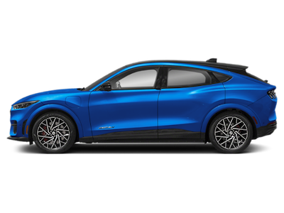 New 2025 Ford Mustang Mach-E - photo 1