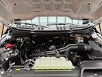 2025 Ford F-150 SuperCrew Cab 4WD Pickup for sale #250726 - photo 28