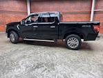 2025 Ford F-150 SuperCrew Cab 4WD Pickup for sale #250727 - photo 1