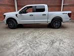 New 2025 Ford F-150 STX SuperCrew Cab 4WD Pickup for sale #250735 - photo 1