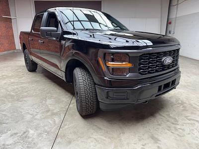 2025 Ford F-150 SuperCrew Cab 4WD Pickup for sale #250736 - photo 1