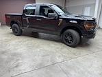 New 2025 Ford F-150 STX SuperCrew Cab 4WD Pickup for sale #250736 - photo 5