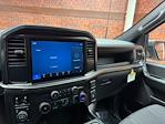 New 2025 Ford F-150 STX Super Cab 4WD Pickup for sale #250737 - photo 16