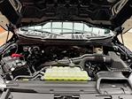 2025 Ford F-150 SuperCrew Cab 4WD Pickup for sale #250797 - photo 26