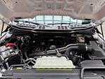 New 2025 Ford F-150 STX SuperCrew Cab for sale #250798 - photo 27