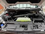2025 Ford F-150 SuperCrew Cab 4WD Pickup for sale #250804 - photo 28