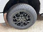 2025 Ford F-150 SuperCrew Cab 4WD Pickup for sale #250804 - photo 29