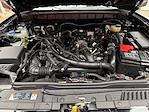 New 2025 Ford Bronco Badlands for sale #250849 - photo 28