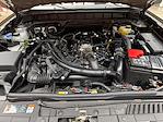 New 2025 Ford Bronco Badlands for sale #250887 - photo 29