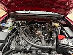 New 2025 Ford Bronco Badlands for sale #250888 - photo 28