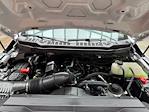 New 2026 Ford F-350 XL Regular Cab 4x4 SRW Pickup for sale #260012 - photo 24