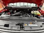 New 2026 Ford F-250 XL Super Cab 4WD Pickup for sale #260033 - photo 26