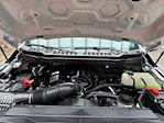 2026 Ford F-350 Regular Cab SRW 4x4 Pickup for sale #260154 - photo 24