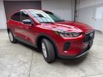 New 2026 Ford Escape ACTIV for sale #260162 - photo 6