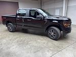 New 2026 Ford F-150 STX SuperCrew Cab for sale #260188 - photo 5