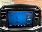 New 2026 Ford F-150 STX SuperCrew Cab for sale #260188 - photo 19