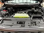 New 2026 Ford F-150 STX SuperCrew Cab for sale #260188 - photo 28