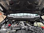 New 2026 Ford F-250 Lariat Crew Cab for sale #260200 - photo 27