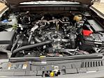 2026 Ford Bronco 4WD SUV for sale #260205 - photo 25
