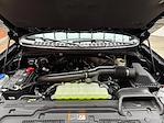 2026 Ford Expedition 4WD SUV for sale #260516 - photo 13