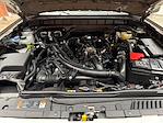 New 2026 Ford Bronco Heritage for sale #260972 - photo 28