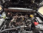 2026 Ford Bronco 4WD SUV for sale #261086 - photo 27